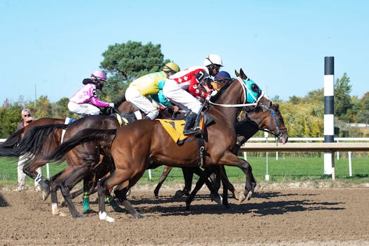 Win Big at Horse Racing: Master the Art of Form Reading and Betting