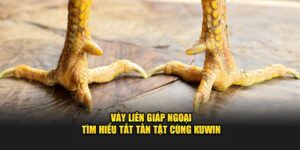 Vảy liên giáp ngoại - Tìm hiểu tất tần tật cùng KUWIN