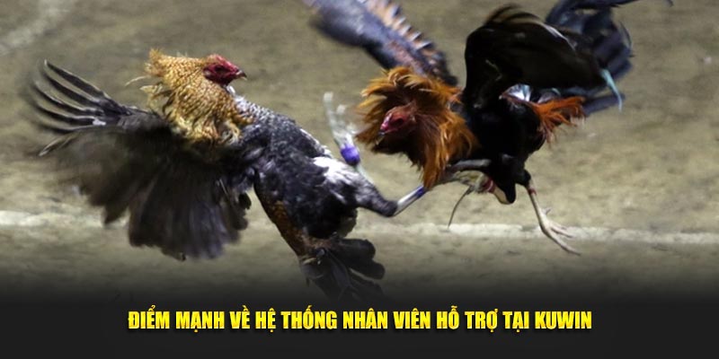 Điểm mạnh về hệ thống nhân viên hỗ trợ tại Kuwin